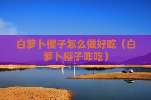 白萝卜樱子怎么做好吃（白萝卜樱子咋吃）