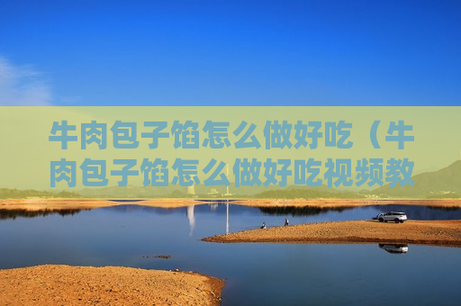 牛肉包子馅怎么做好吃（牛肉包子馅怎么做好吃视频教程）