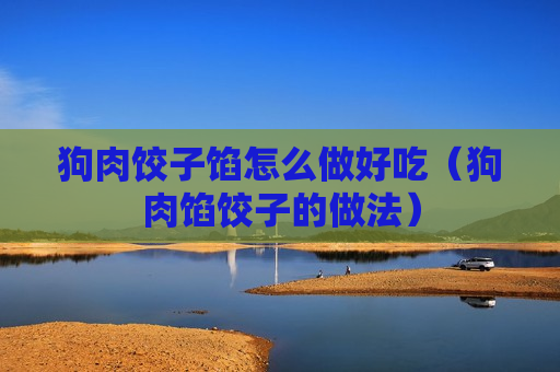 狗肉饺子馅怎么做好吃（狗肉馅饺子的做法）