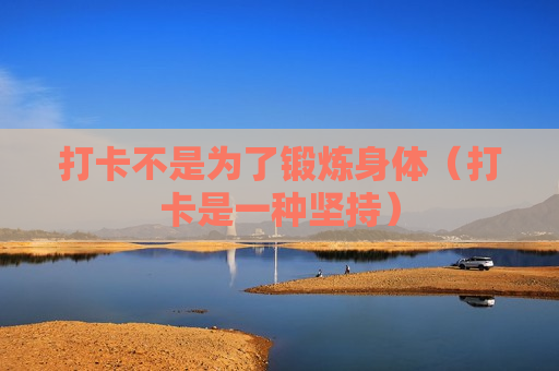 打卡不是为了锻炼身体（打卡是一种坚持）