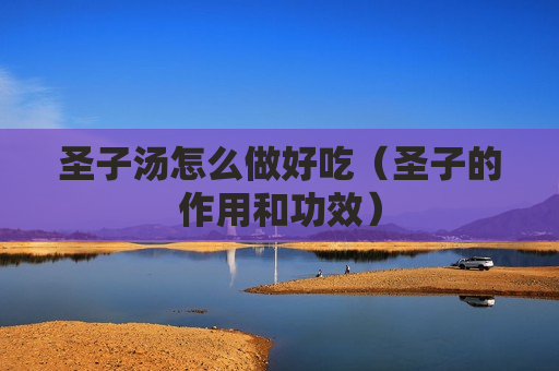 圣子汤怎么做好吃（圣子的作用和功效）