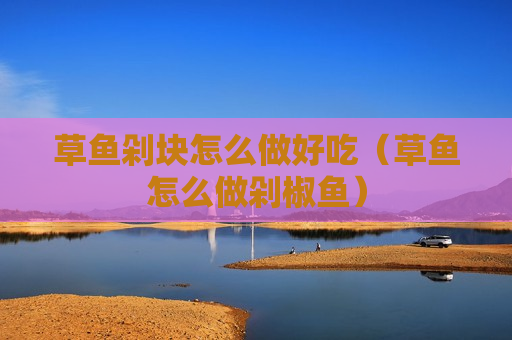 草鱼剁块怎么做好吃（草鱼怎么做剁椒鱼）