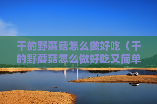 干的野蘑菇怎么做好吃（干的野蘑菇怎么做好吃又简单）