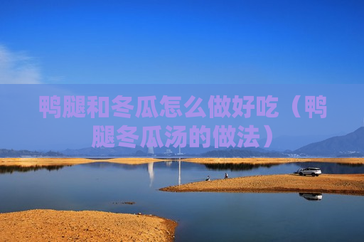 鸭腿和冬瓜怎么做好吃（鸭腿冬瓜汤的做法）