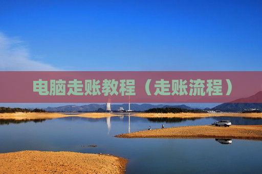 电脑走账教程（走账流程）