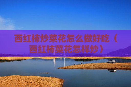 西红柿炒菜花怎么做好吃（西红柿菜花怎样炒）
