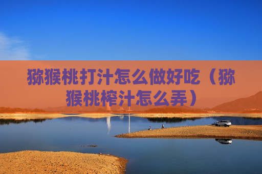 猕猴桃打汁怎么做好吃（猕猴桃榨汁怎么弄）