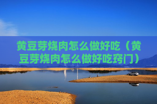 黄豆芽烧肉怎么做好吃（黄豆芽烧肉怎么做好吃窍门）