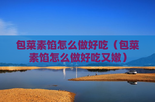包菜素馅怎么做好吃（包菜素馅怎么做好吃又嫩）