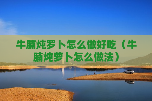 牛腩炖罗卜怎么做好吃（牛腩炖萝卜怎么做法）