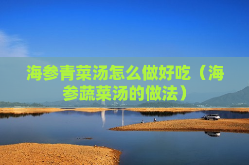 海参青菜汤怎么做好吃（海参蔬菜汤的做法）