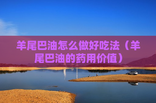 羊尾巴油怎么做好吃法（羊尾巴油的药用价值）