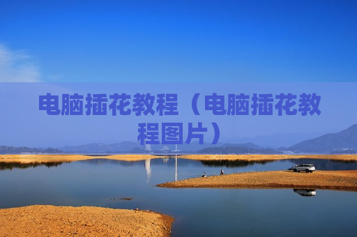 电脑插花教程（电脑插花教程图片）