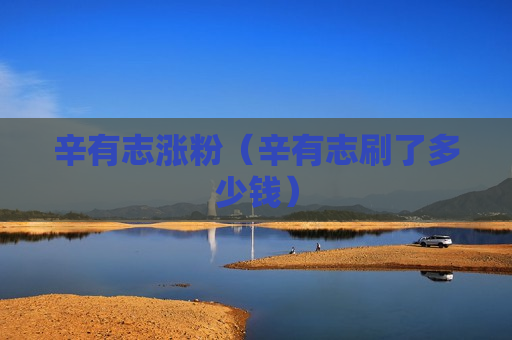 辛有志涨粉（辛有志刷了多少钱）
