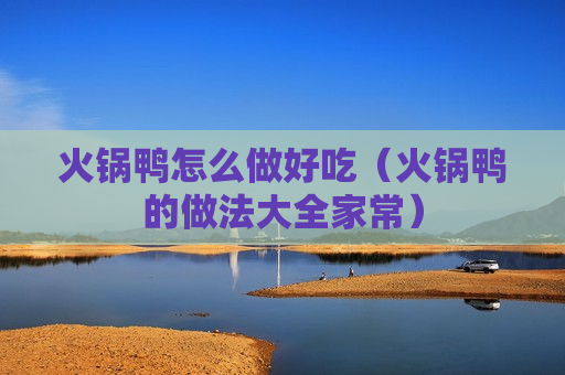 火锅鸭怎么做好吃（火锅鸭的做法大全家常）