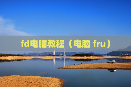 fd电脑教程（电脑 fru）