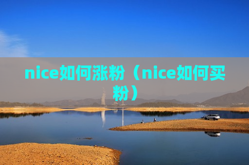 nice如何涨粉（nice如何买粉）