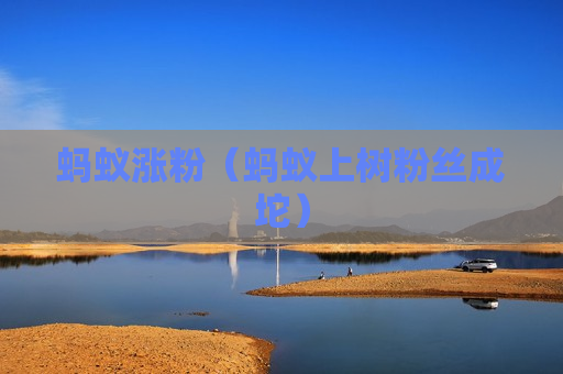 蚂蚁涨粉（蚂蚁上树粉丝成坨）