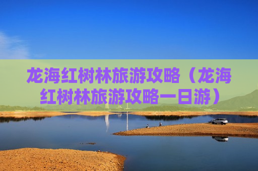 龙海红树林旅游攻略（龙海红树林旅游攻略一日游）