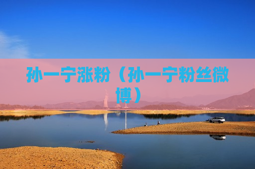 孙一宁涨粉（孙一宁粉丝微博）