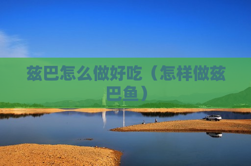 兹巴怎么做好吃（怎样做兹巴鱼）