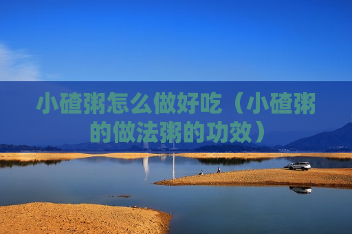 小碴粥怎么做好吃（小碴粥的做法粥的功效）