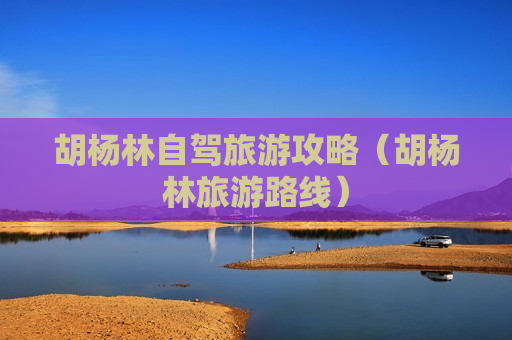 胡杨林自驾旅游攻略（胡杨林旅游路线）