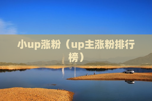 小up涨粉（up主涨粉排行榜）