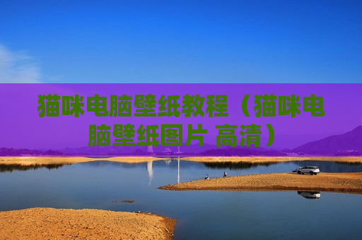 猫咪电脑壁纸教程（猫咪电脑壁纸图片 高清）