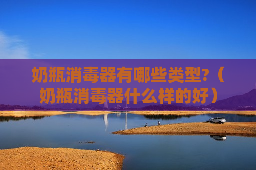 奶瓶消毒器有哪些类型?（奶瓶消毒器什么样的好）