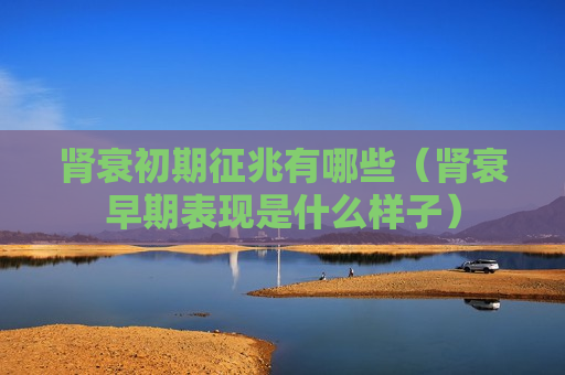 肾衰初期征兆有哪些（肾衰早期表现是什么样子）