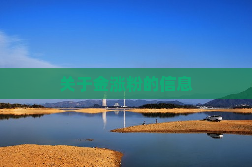 关于金涨粉的信息