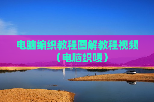 电脑编织教程图解教程视频（电脑织唛）
