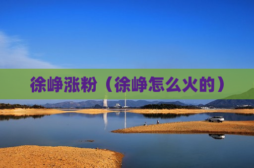 徐峥涨粉（徐峥怎么火的）
