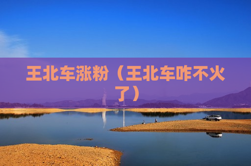 王北车涨粉（王北车咋不火了）