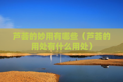 芦荟的妙用有哪些（芦荟的用处有什么用处）