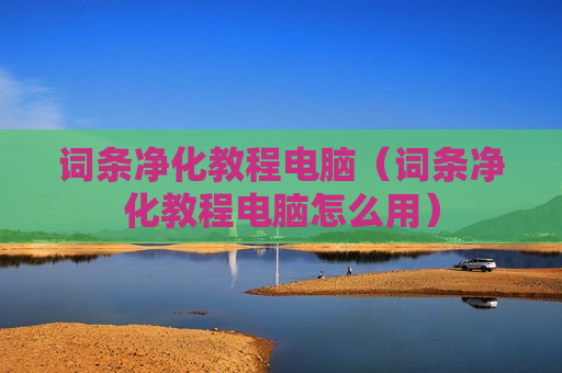 词条净化教程电脑（词条净化教程电脑怎么用）
