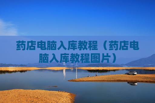药店电脑入库教程（药店电脑入库教程图片）