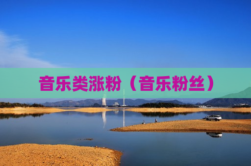 音乐类涨粉（音乐粉丝）