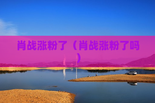 肖战涨粉了（肖战涨粉了吗）