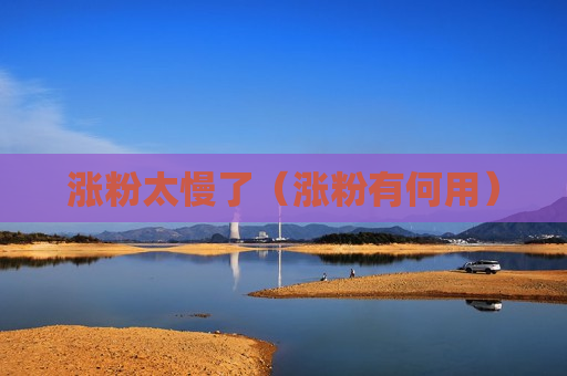 涨粉太慢了（涨粉有何用）