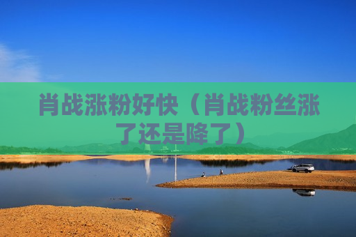 肖战涨粉好快（肖战粉丝涨了还是降了）