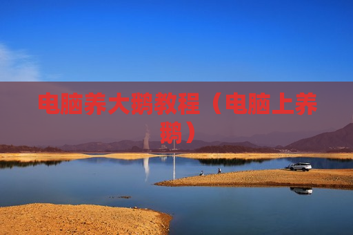 电脑养大鹅教程（电脑上养鹅）