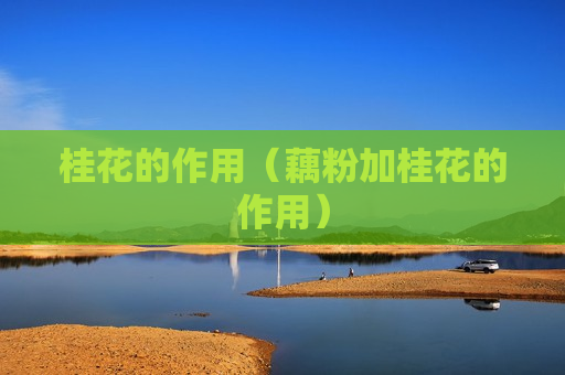 桂花的作用（藕粉加桂花的作用）