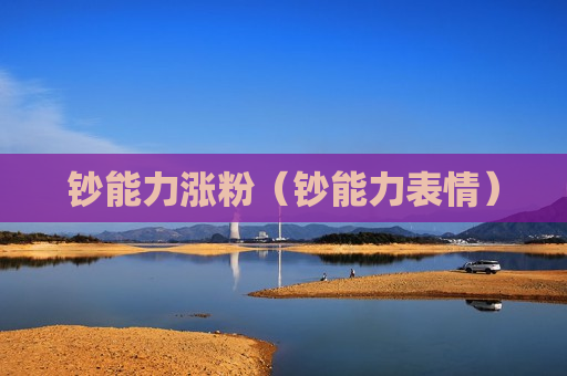 钞能力涨粉（钞能力表情）