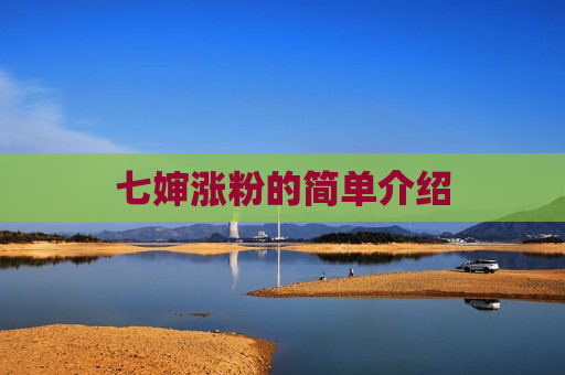 七婶涨粉的简单介绍