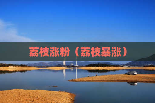 荔枝涨粉（荔枝暴涨）