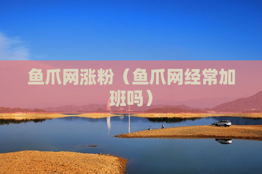 鱼爪网涨粉（鱼爪网经常加班吗）
