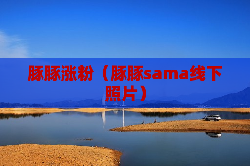 豚豚涨粉（豚豚sama线下照片）