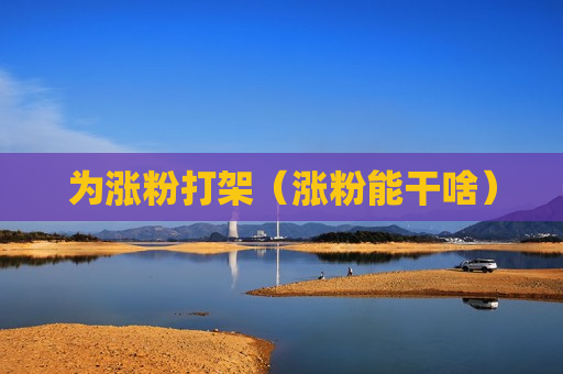 为涨粉打架（涨粉能干啥）